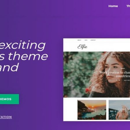 Elfie WordPress Theme Review