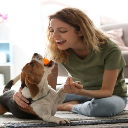 How to Find the Best Pet Insurance for Your Furry Friend