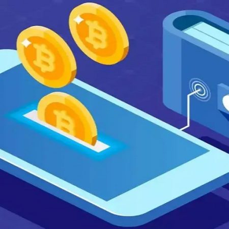 Some Tips to Secure Your Digital Wallet from Hackers!