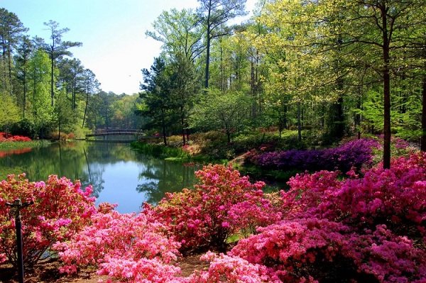 Why Was Ozark Filmed In Georgia