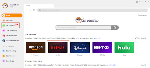 Step 1: Download StreamFab Netflix downloader