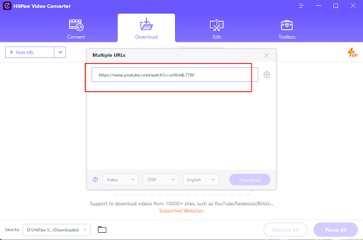 Step 3 – Paste the URL in HitPaw Video Converter 