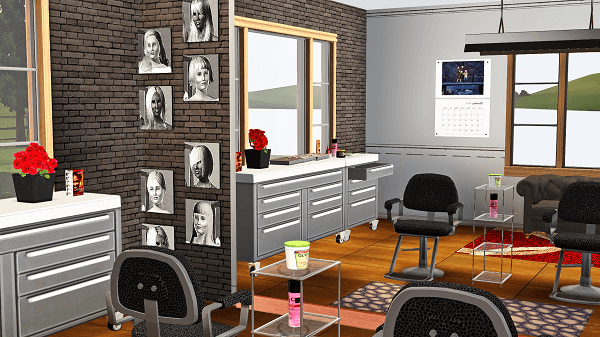 HAIRDRESSER MOD